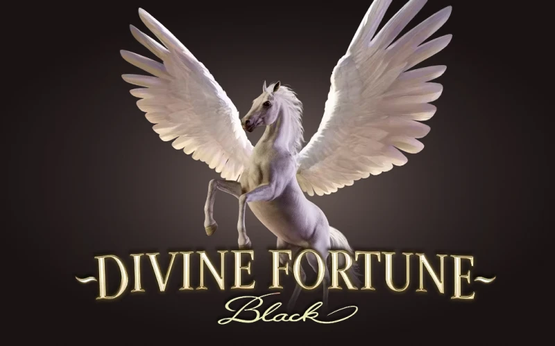 Enjoy Divine Fortune Black slot game on the official Vavada casino.